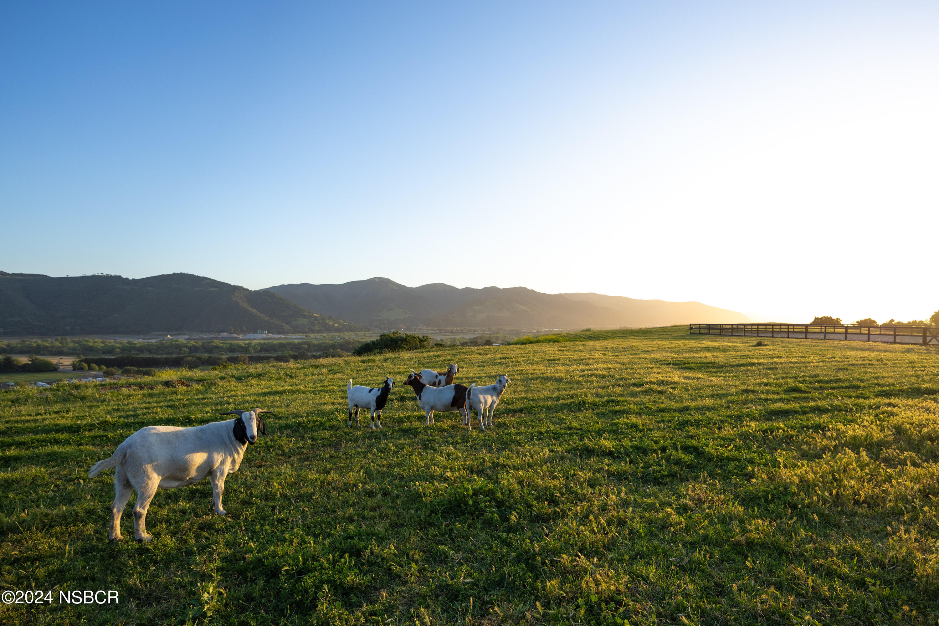 818 Ballard Canyon Road