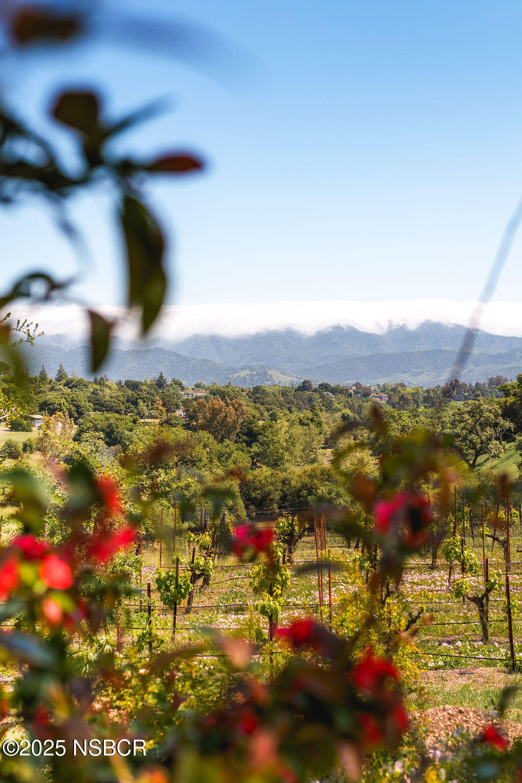 1486/1464 Rolling Hills Road