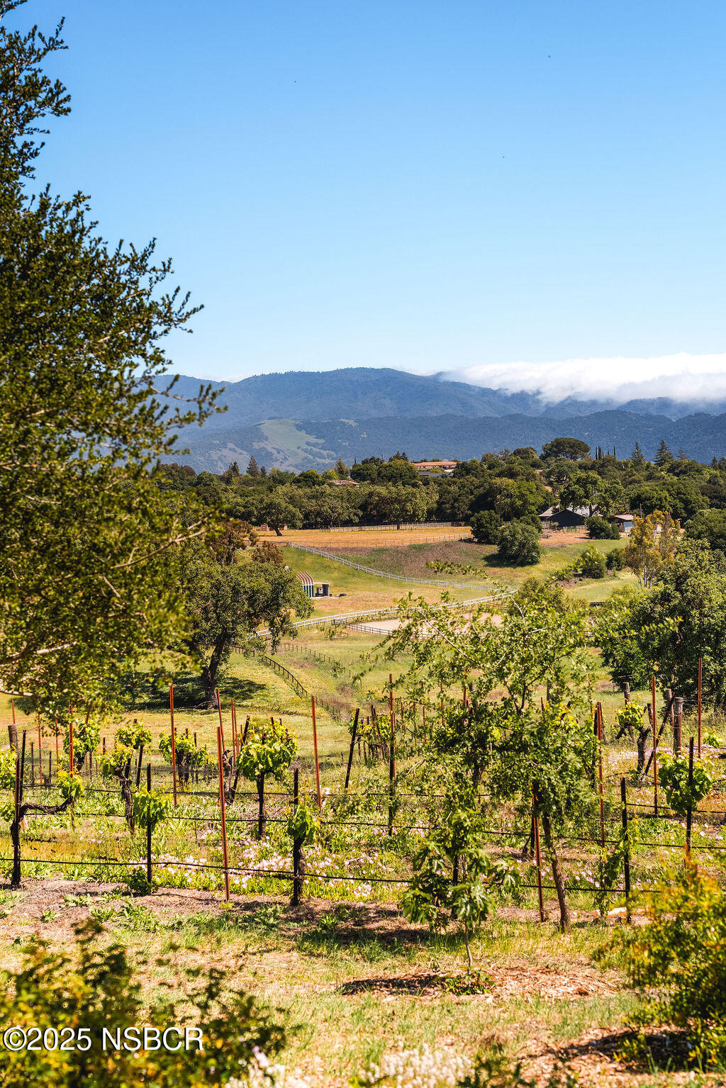 1486/1464 Rolling Hills Road