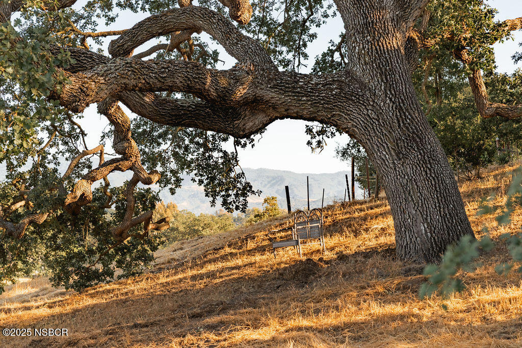 1486/1464 Rolling Hills Road