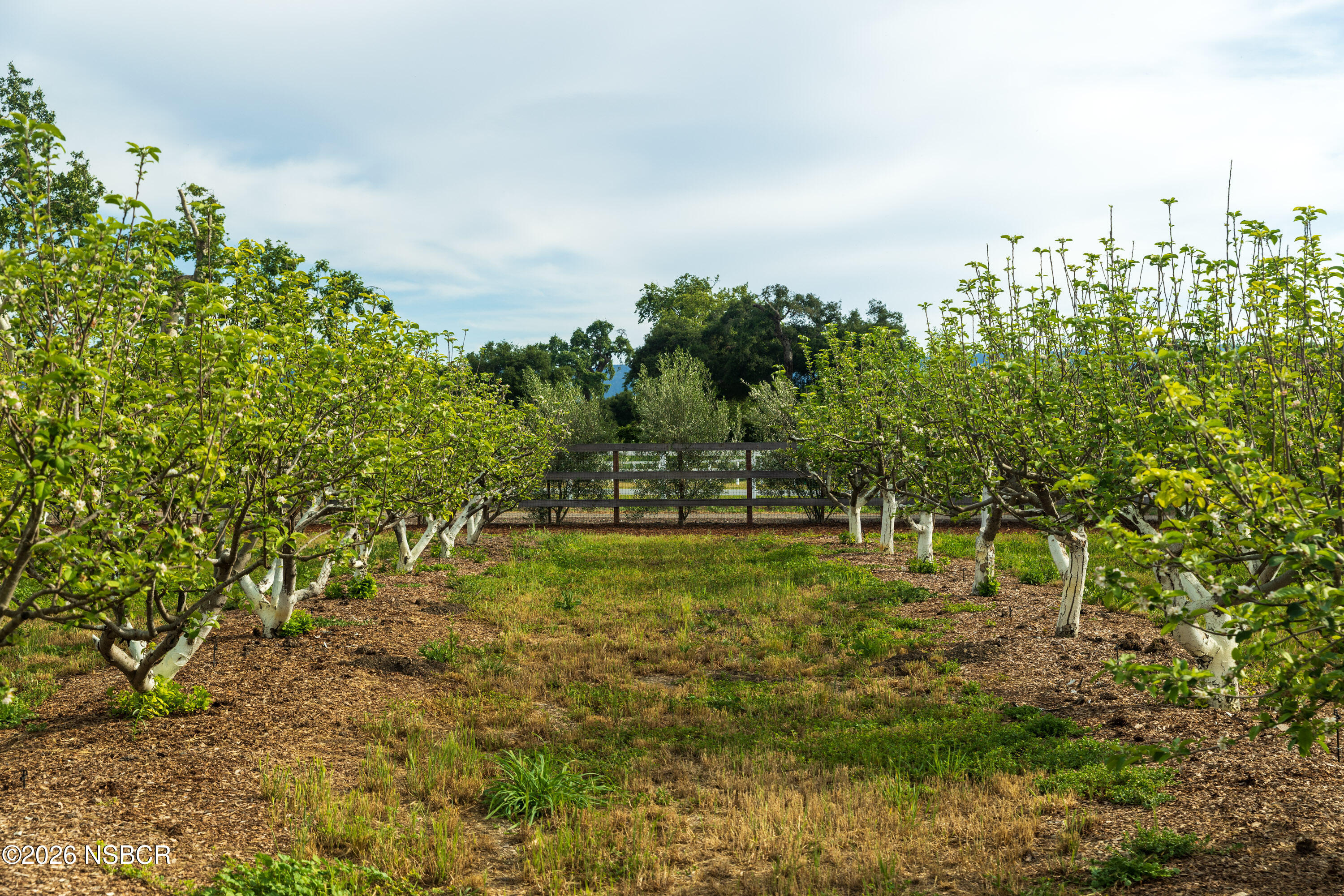 2275 Alamo Pintado Road