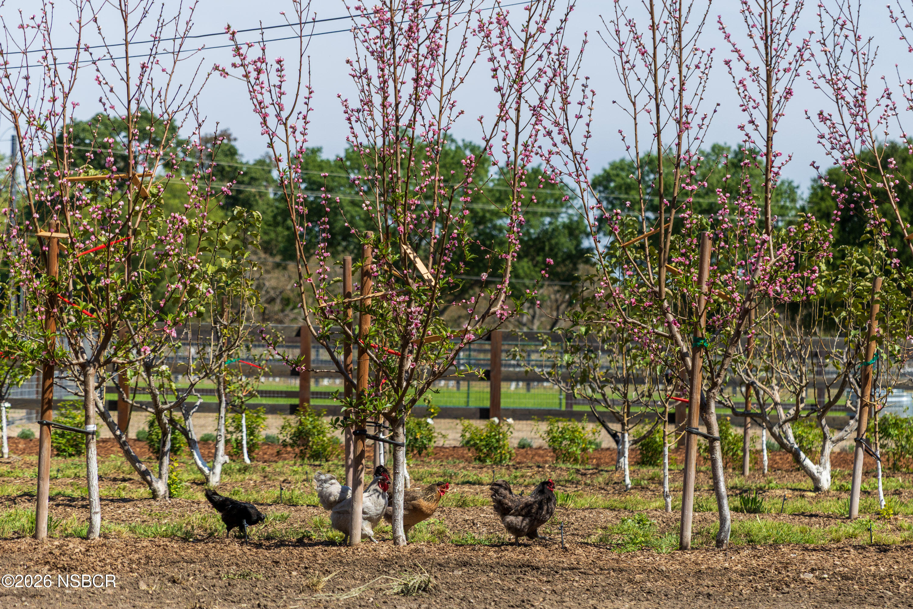 2275 Alamo Pintado Road