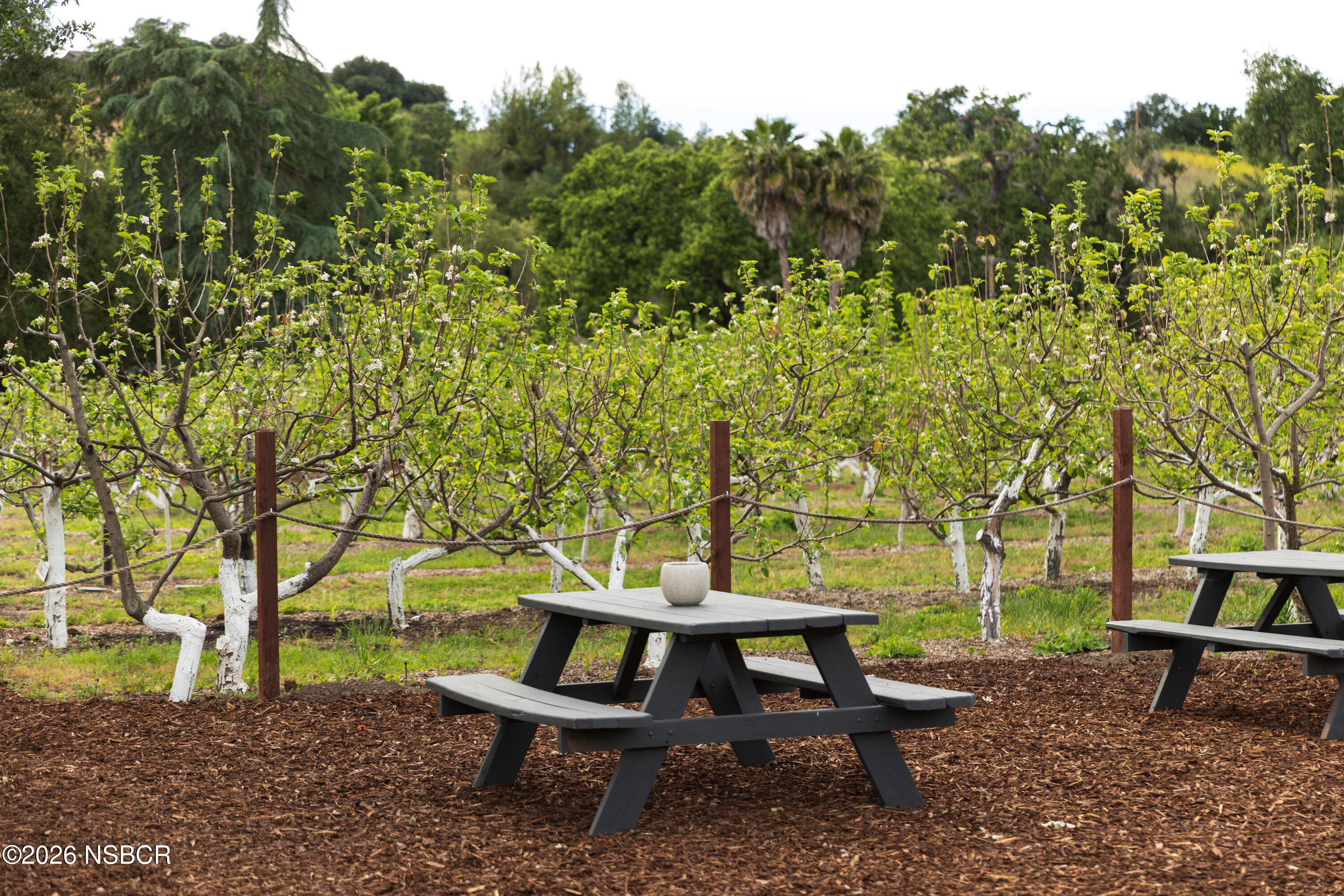 2275 Alamo Pintado Road