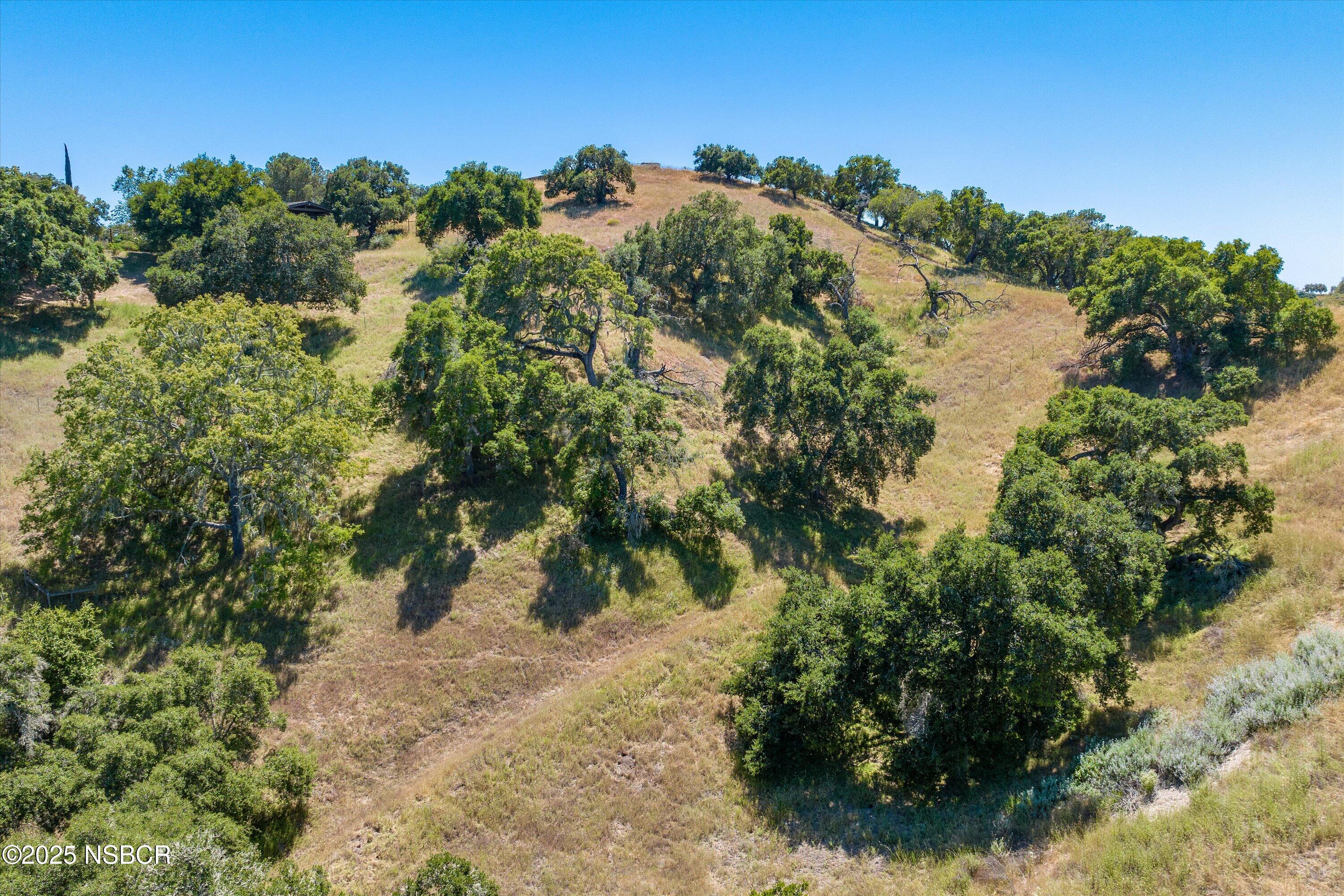 3951 Tims Road