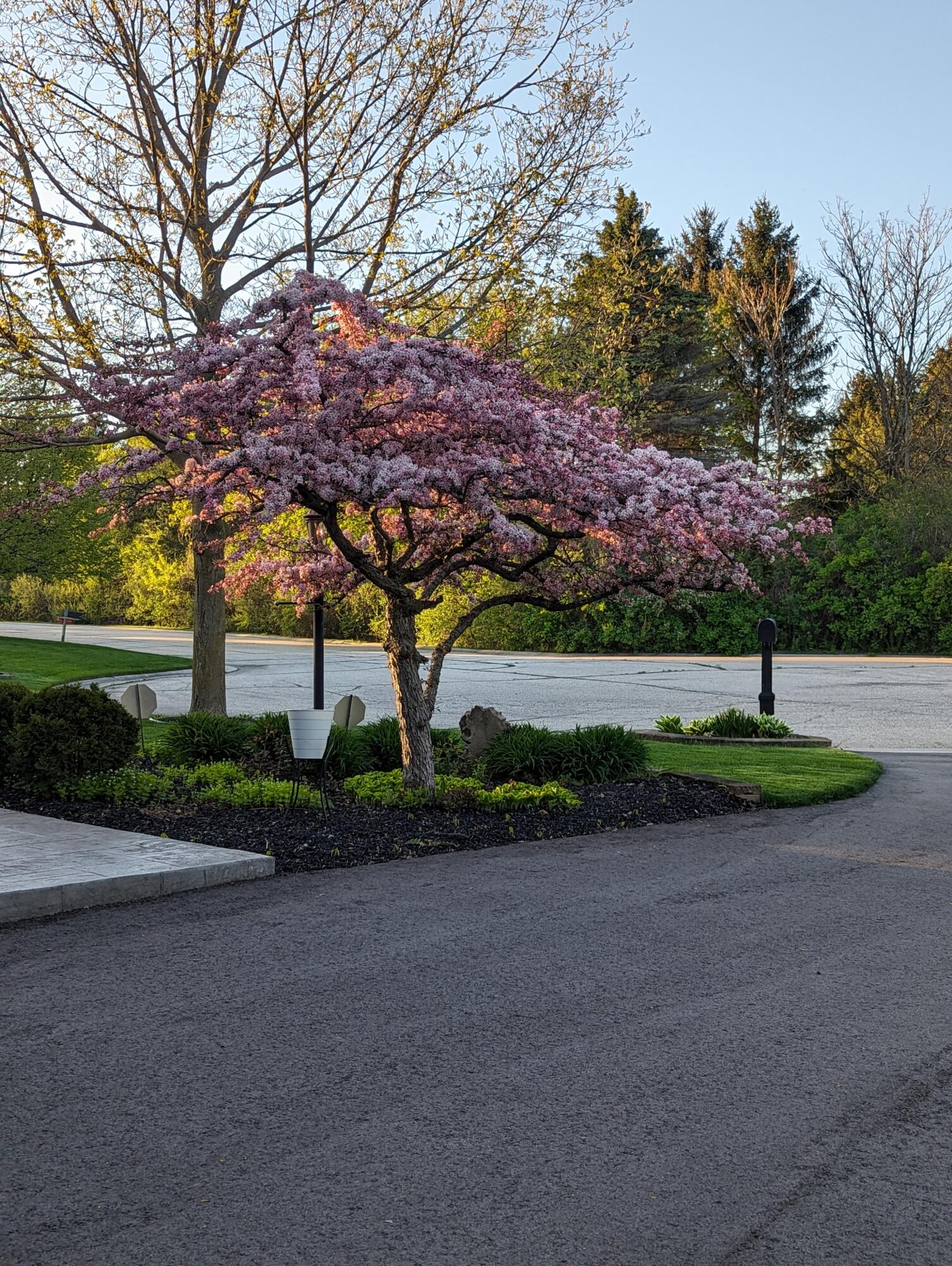3107 Walden Way, Racine