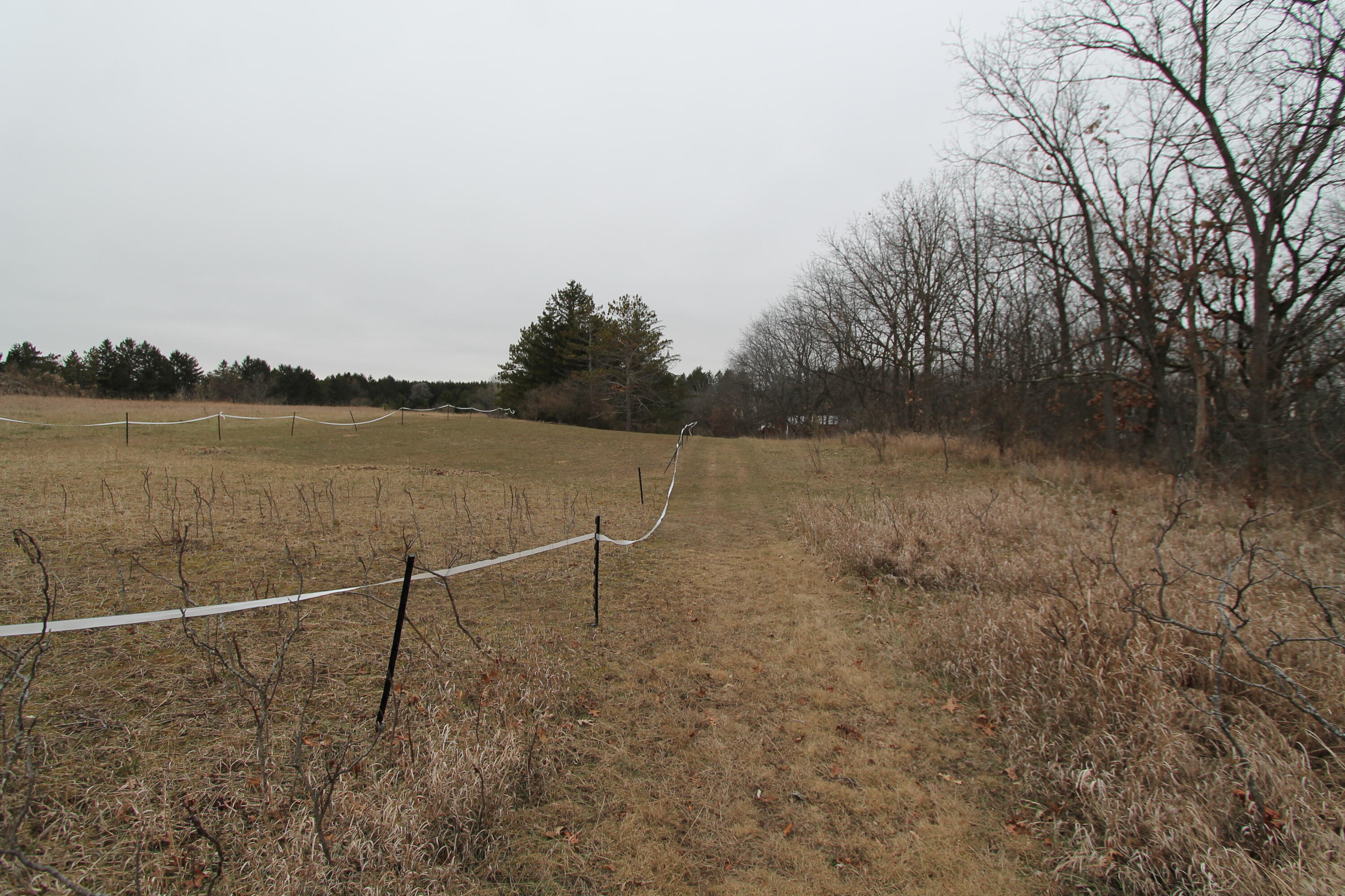 N5902 Hargraves Rd