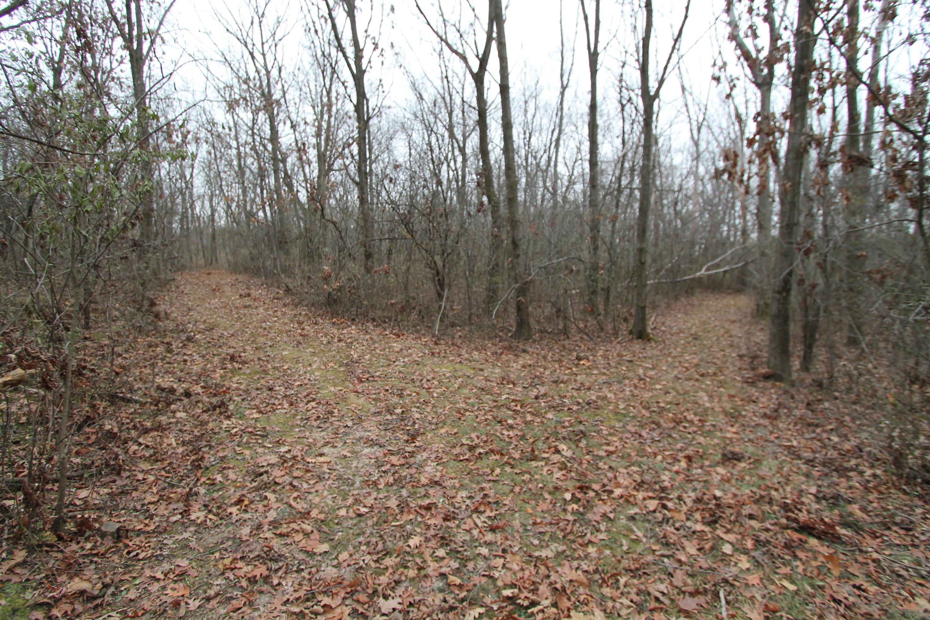 N5902 Hargraves Rd