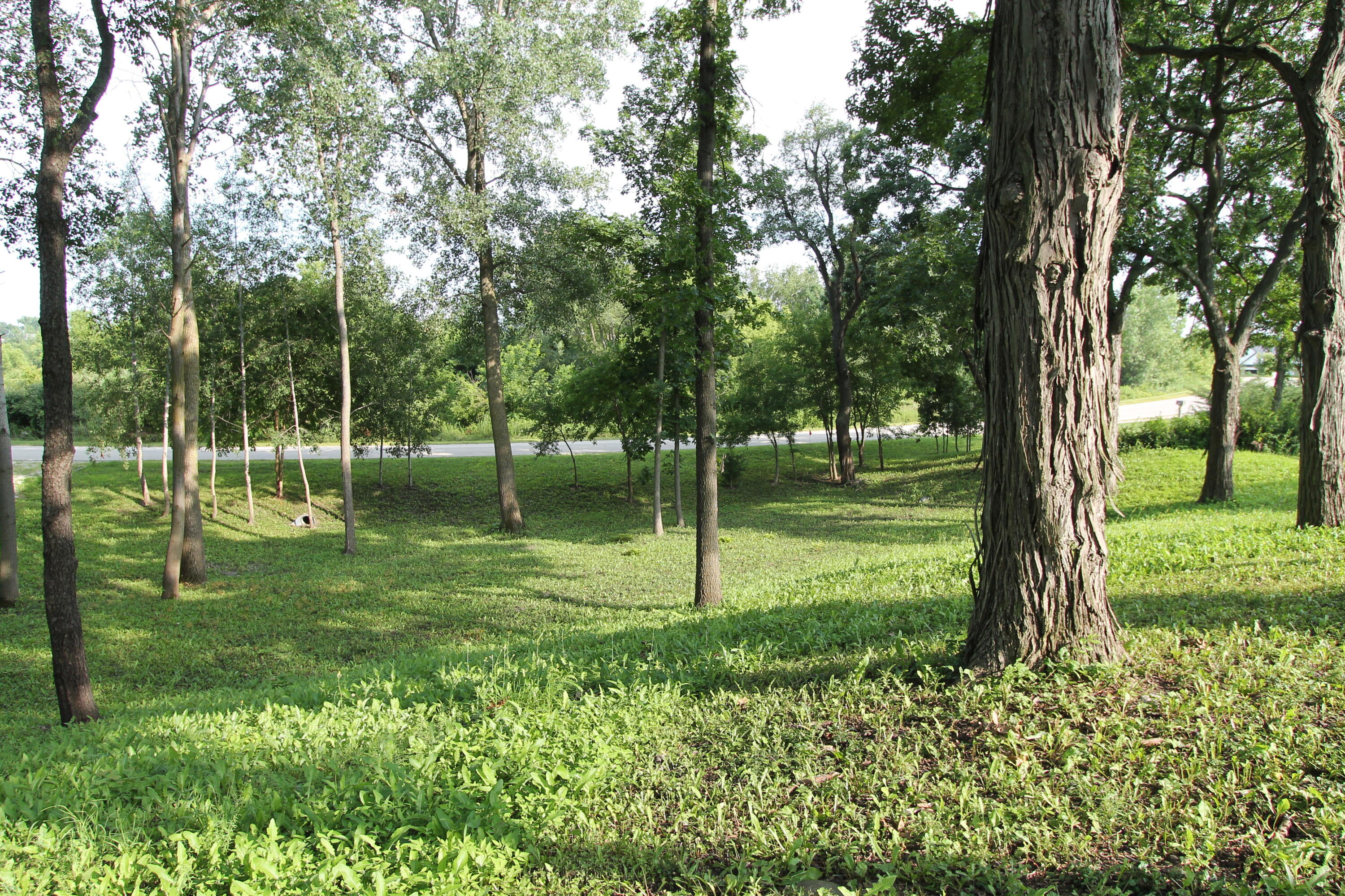 6824 Horseshoe Trl, Burlington