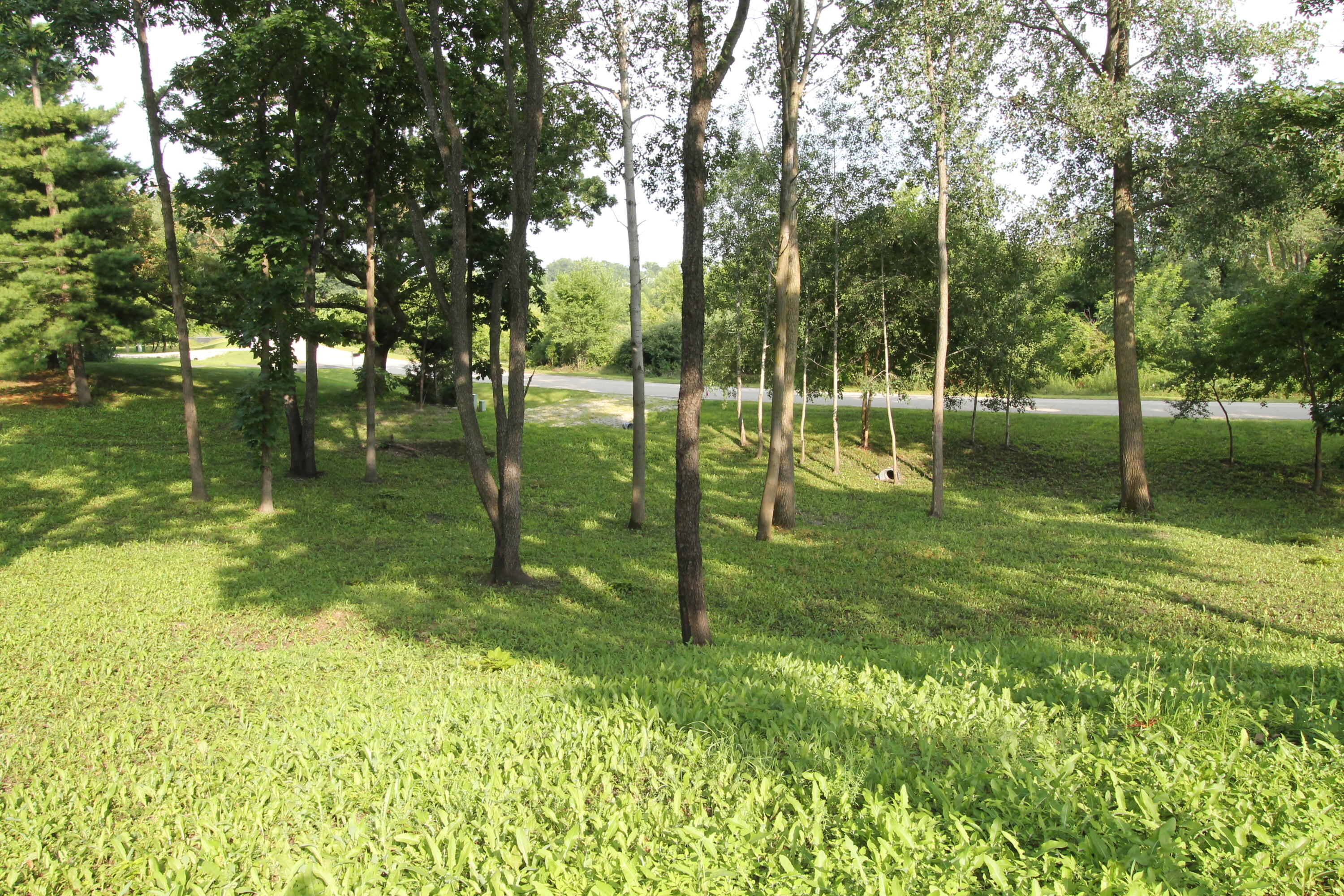 6824 Horseshoe Trl, Burlington