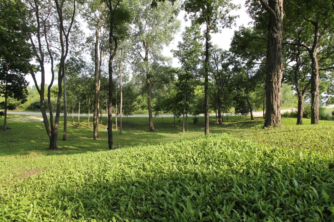 6824 HORSESHOE TRAIL