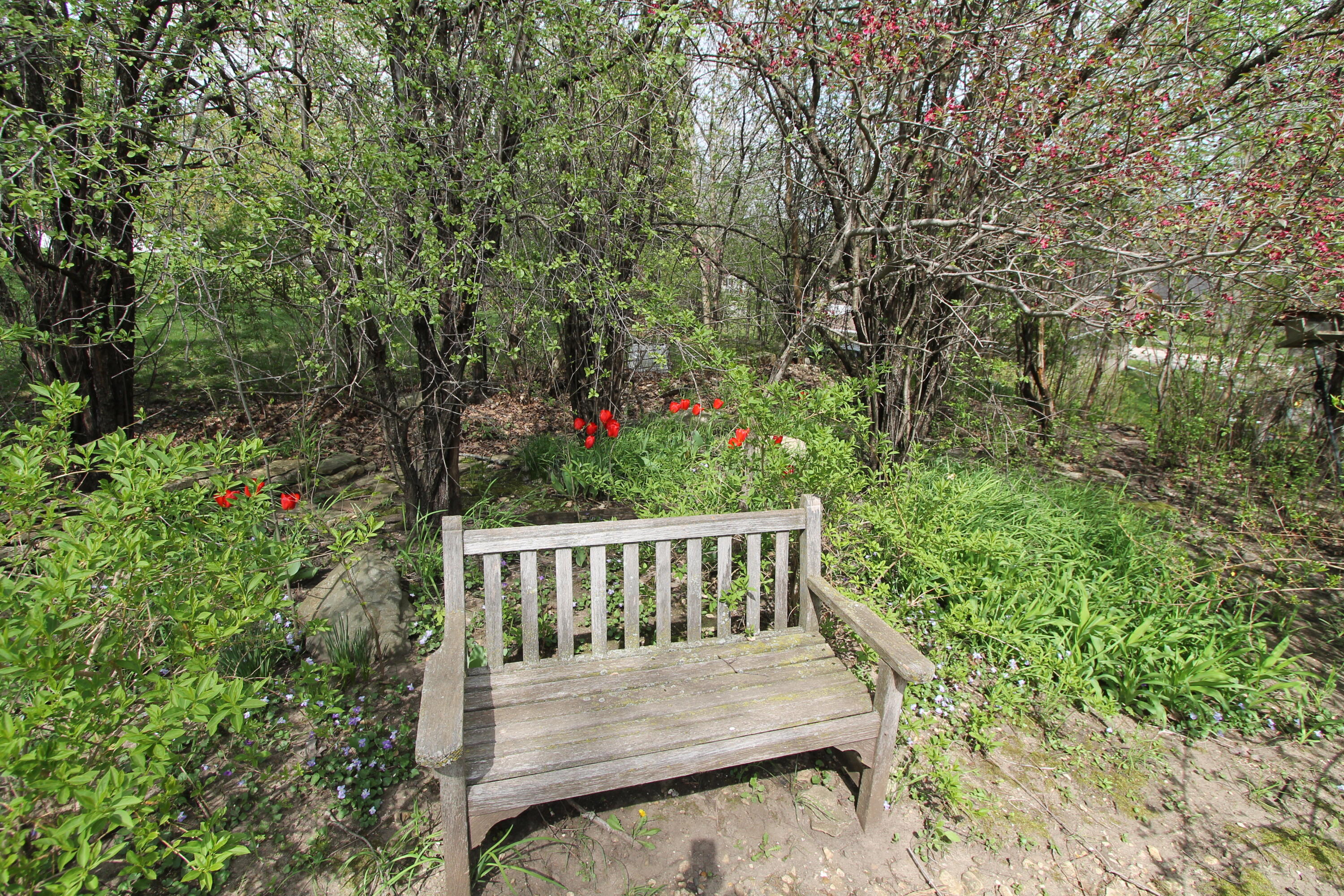 308 Highridge Rd, Burlington