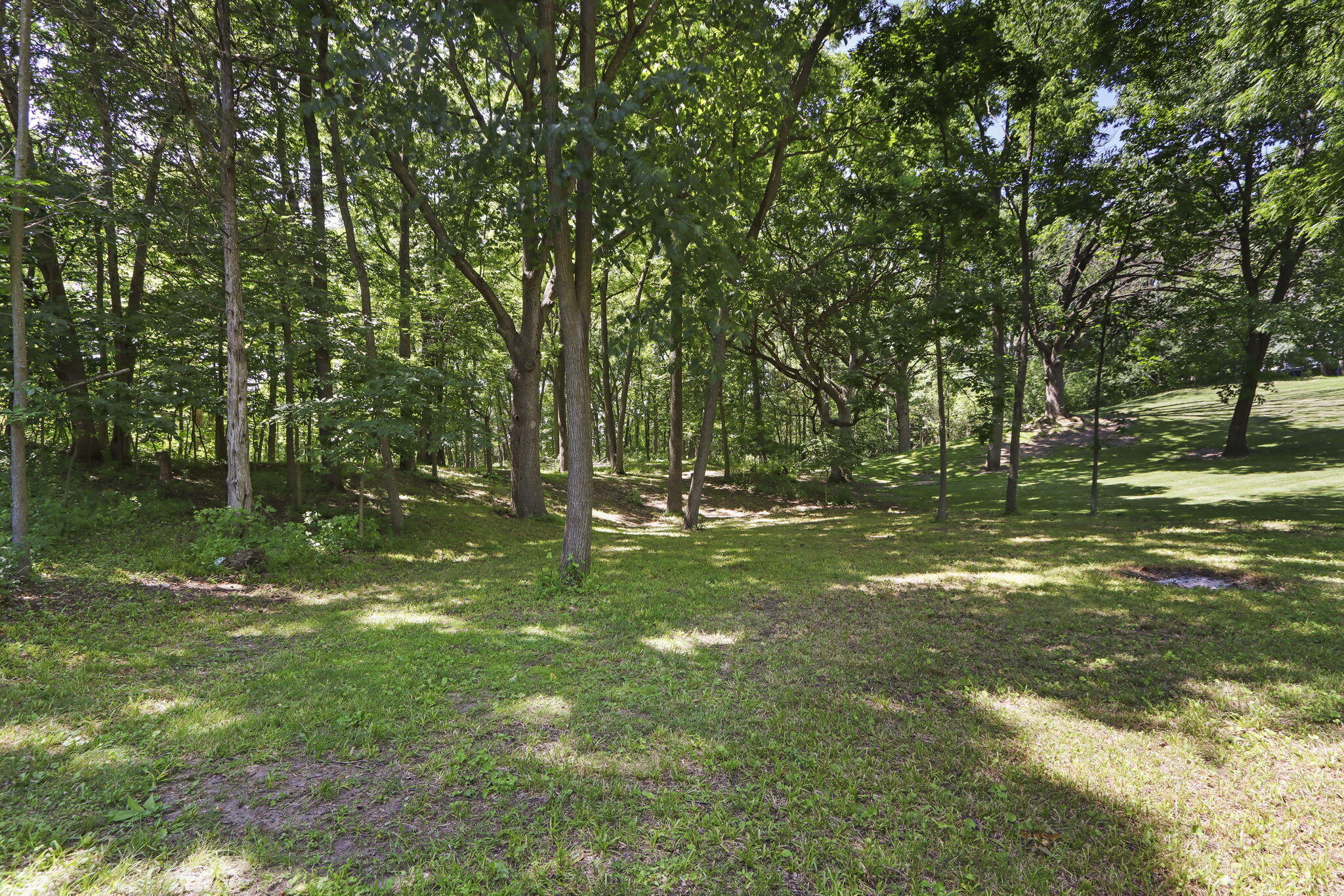 1109 Cooper Hawk Dr
