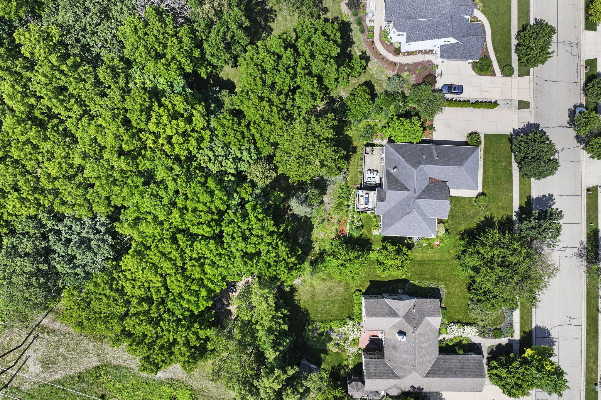 1109 Cooper Hawk Dr