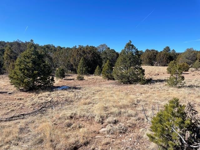 Lot M-2 Hidden Valley