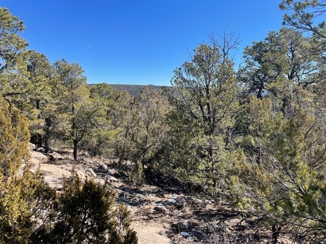 Lot M-2 Hidden Valley