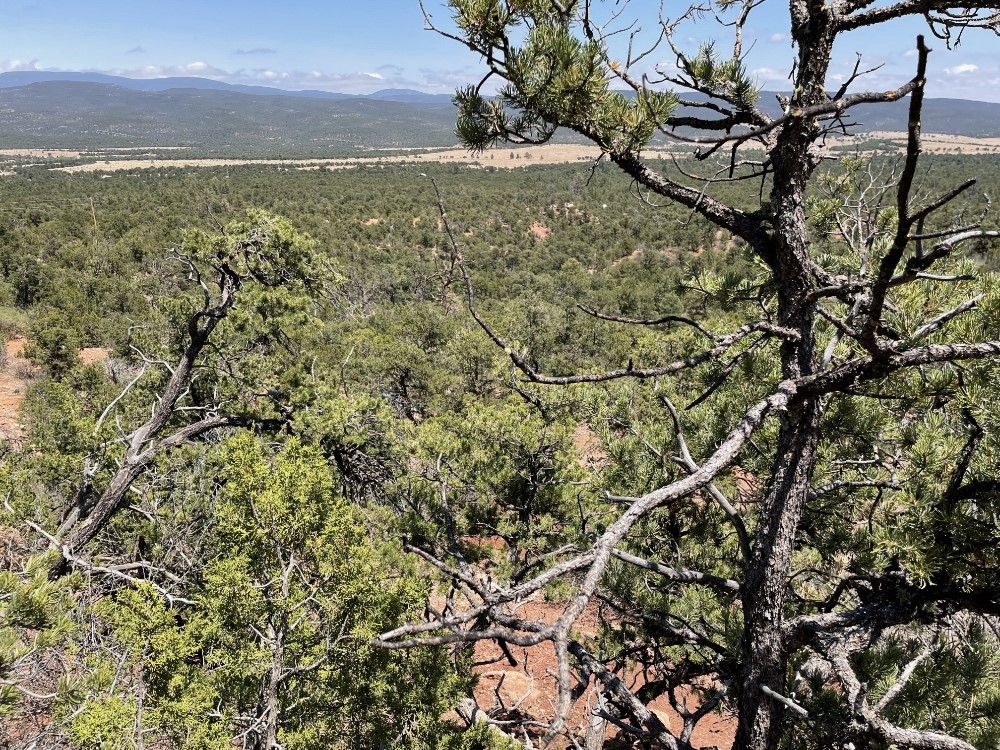 Tract A-1 Dragonfly Canyon Rd