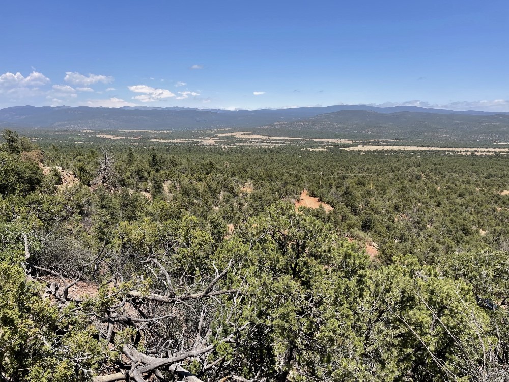 Tract A-1 Dragonfly Canyon Rd