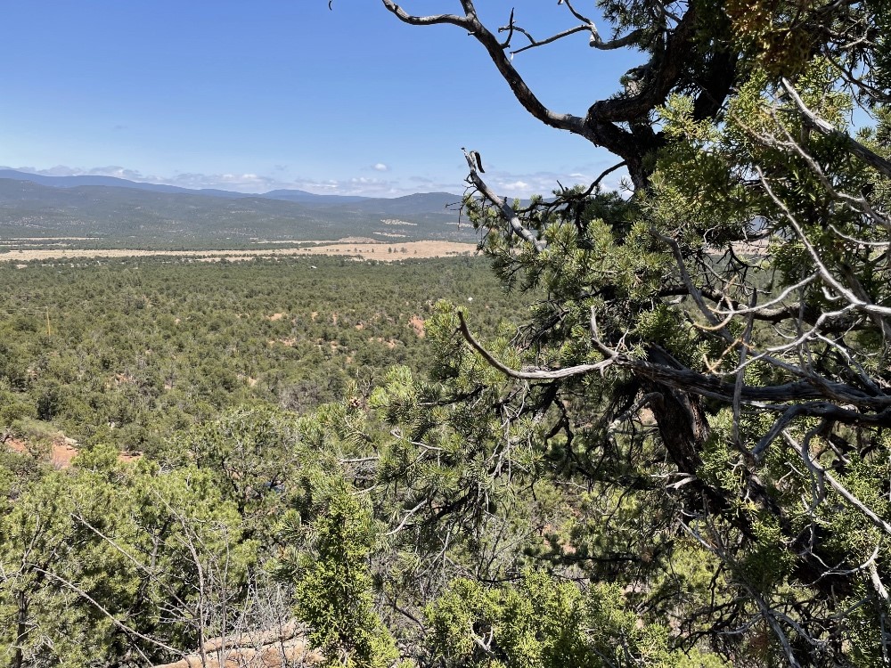Tract A-1 Dragonfly Canyon Rd