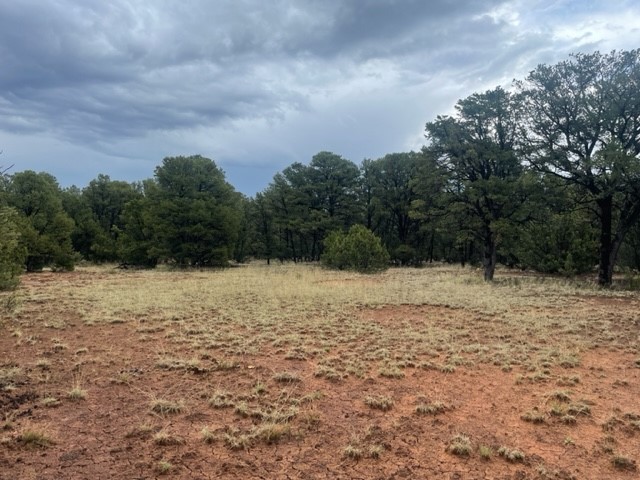 Lot 2 Tract 1B Coyote Chase