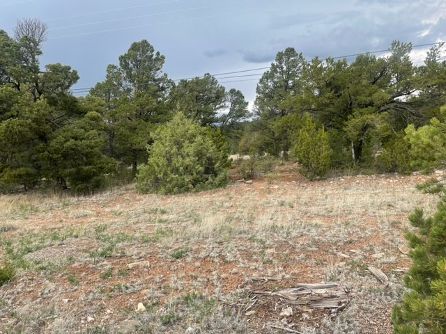 Lot 2 Tract 1B Coyote Chase