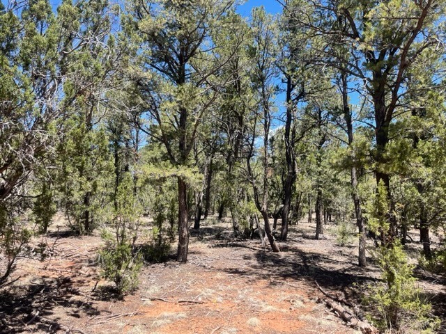 Lot 2 Tract 1B Coyote Chase