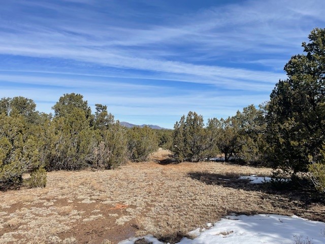 64 Saddle Spur Trail