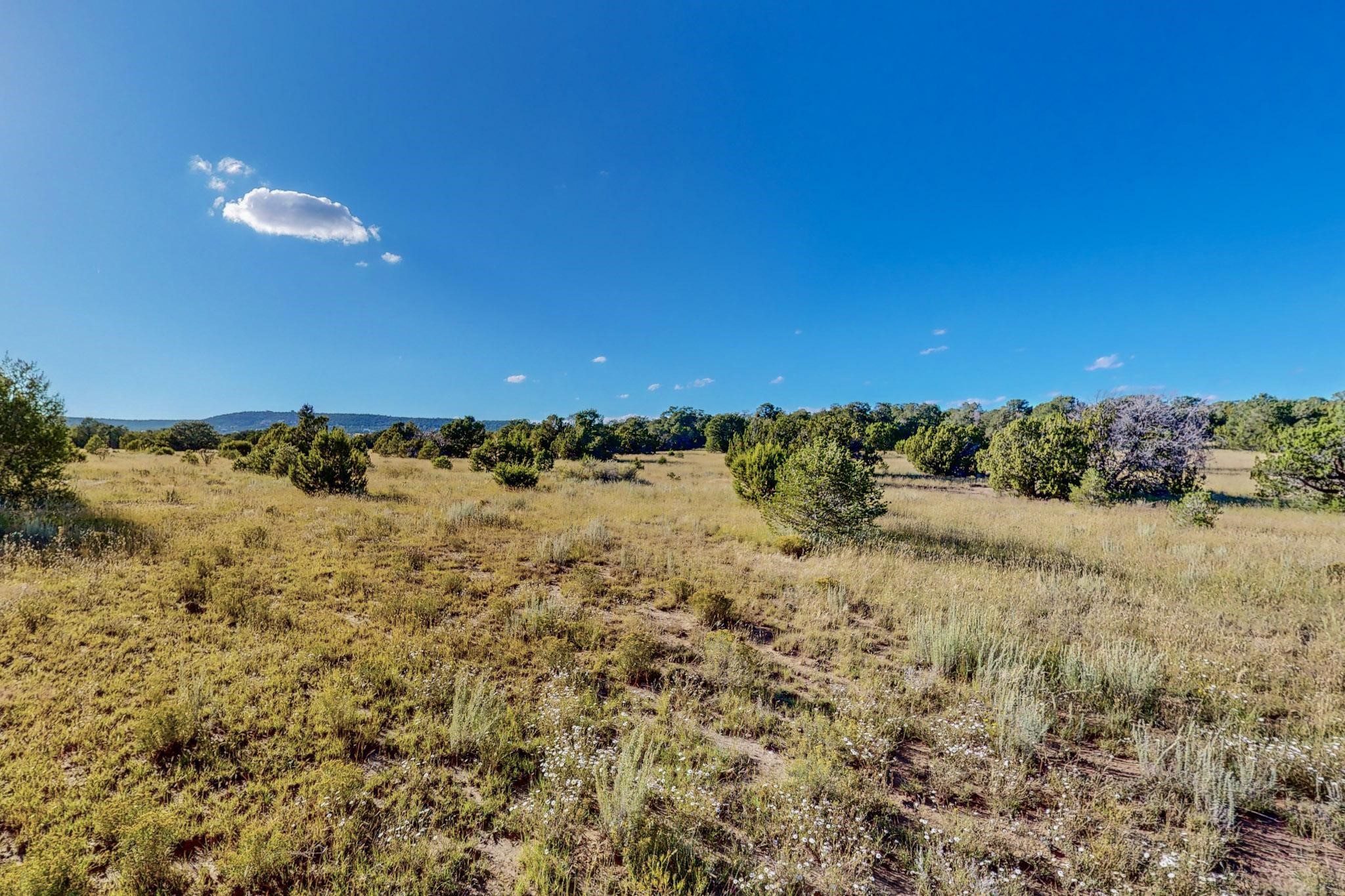 64 Saddle Spur Trail