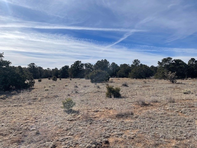 64 Saddle Spur Trail