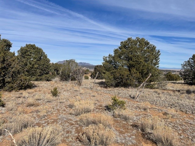 64 Saddle Spur Trail