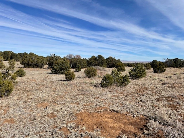 64 Saddle Spur Trail