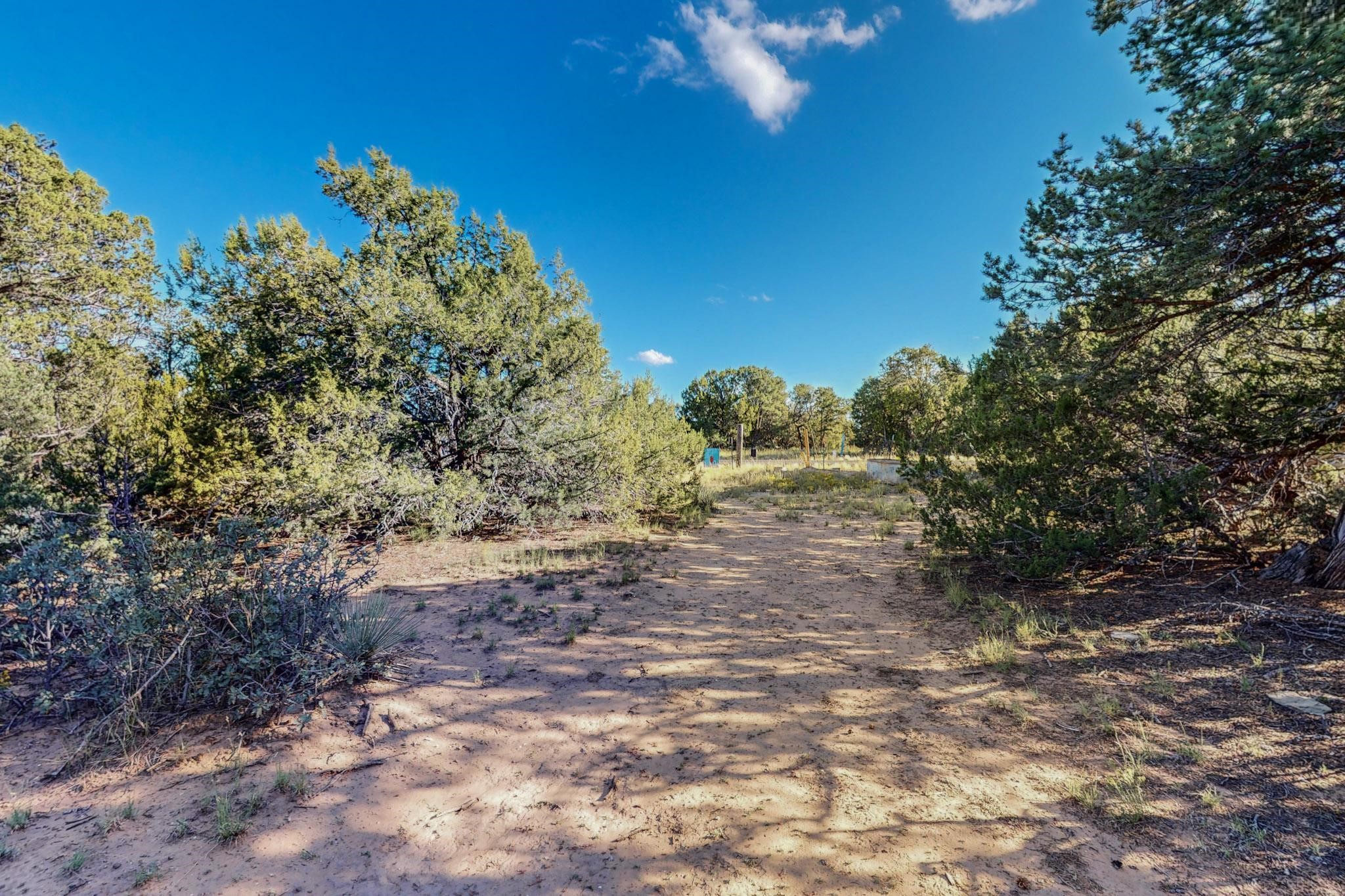 64 Saddle Spur Trail