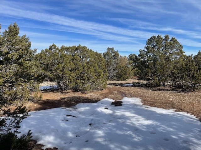 64 Saddle Spur Trail