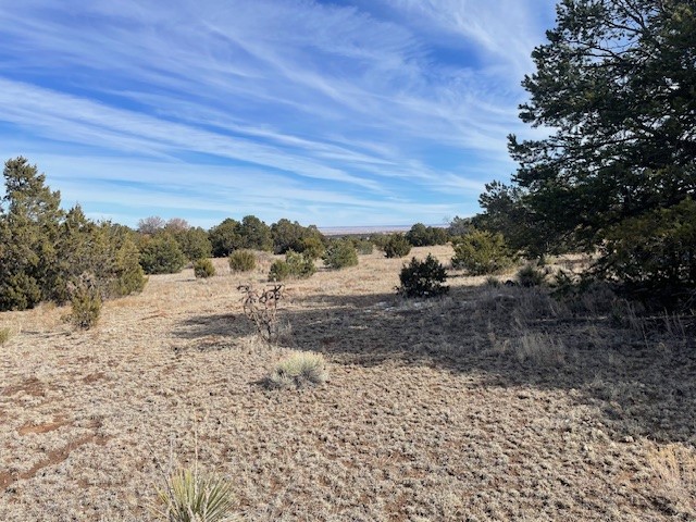 64 Saddle Spur Trail
