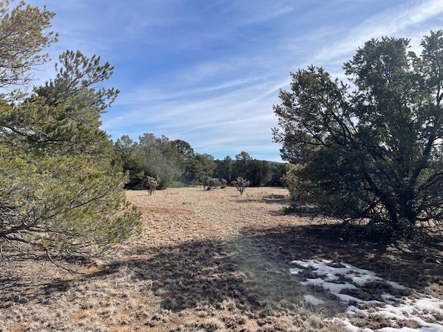 64 Saddle Spur Trail