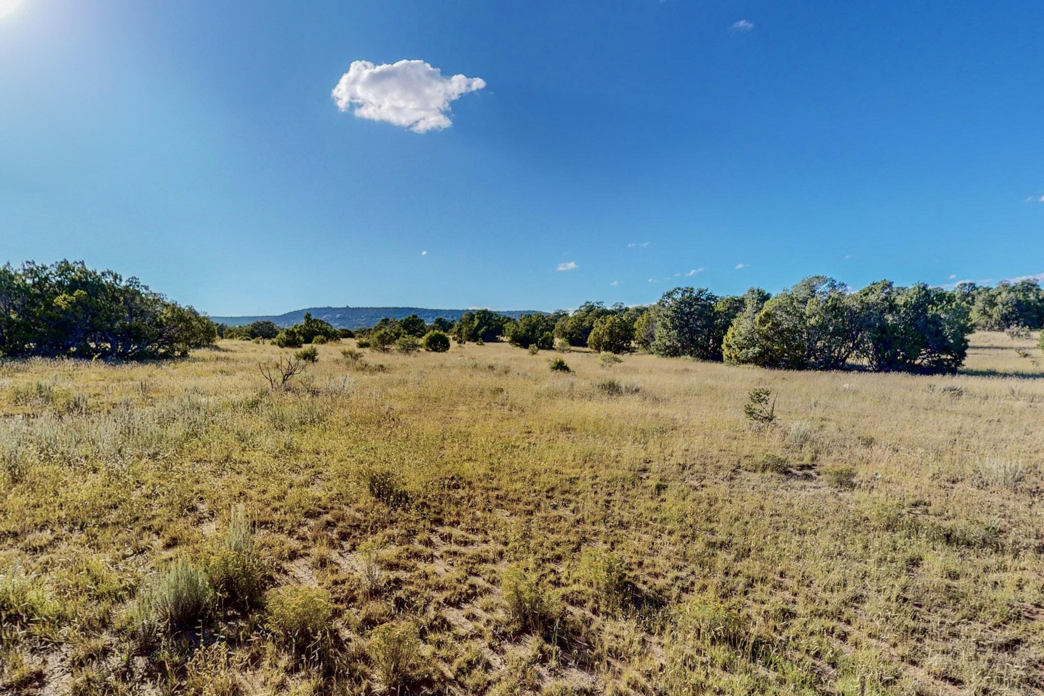 64 Saddle Spur Trail