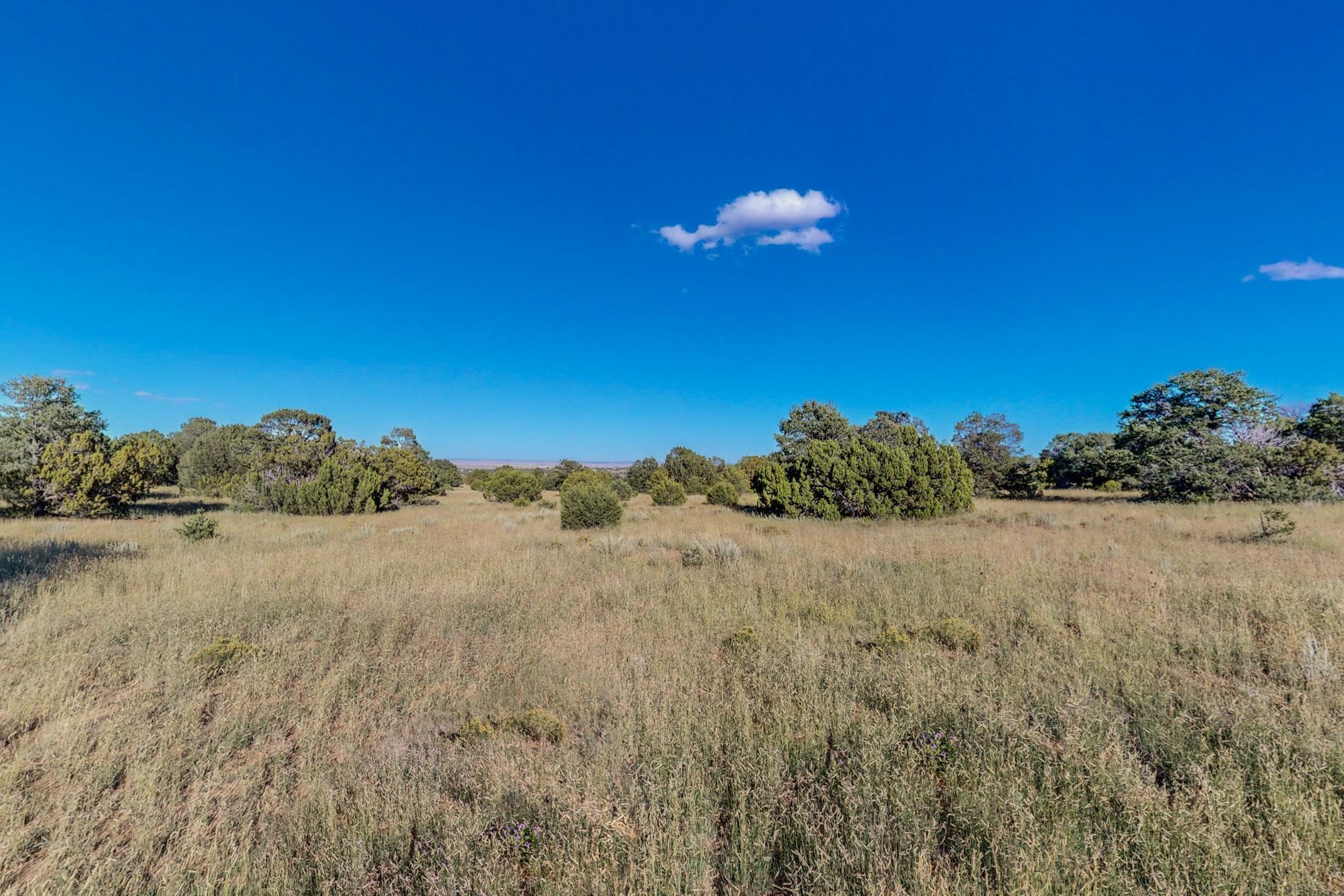64 Saddle Spur Trail