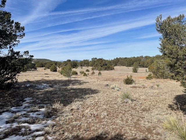 64 Saddle Spur Trail
