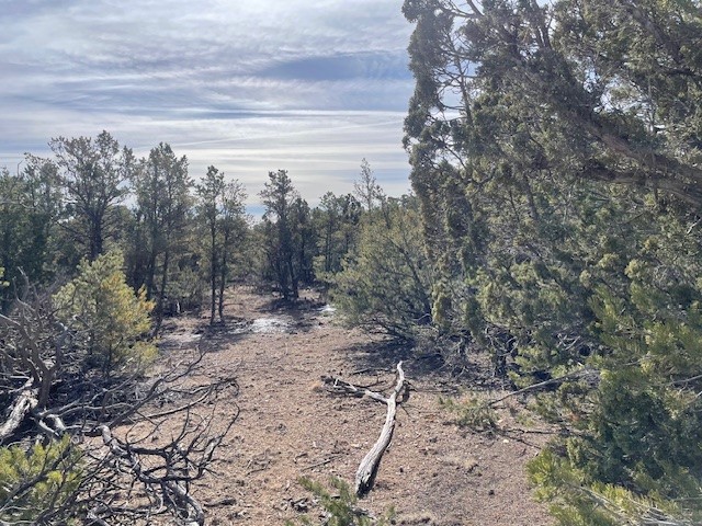 64 Saddle Spur Trail