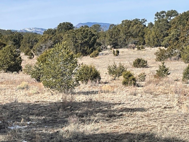 64 Saddle Spur Trail