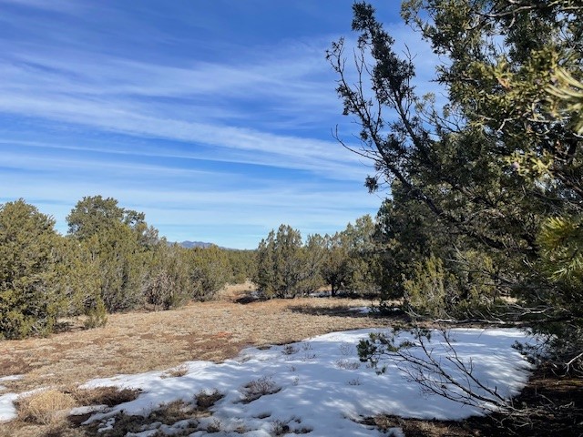 64 Saddle Spur Trail