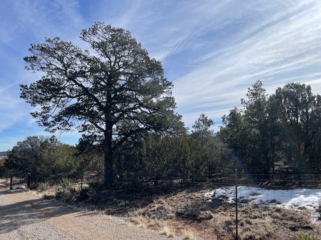 64 Saddle Spur Trail
