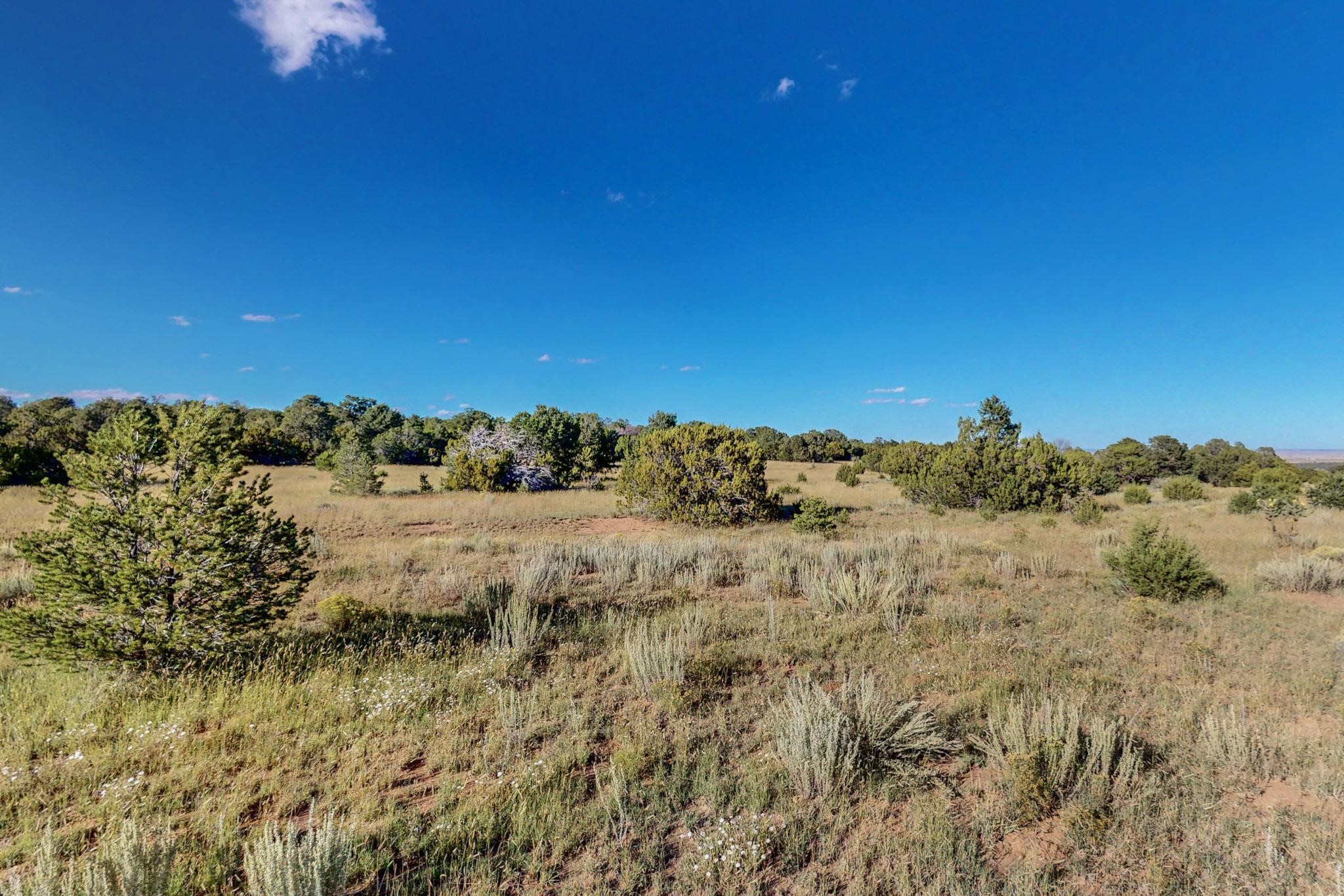 64 Saddle Spur Trail