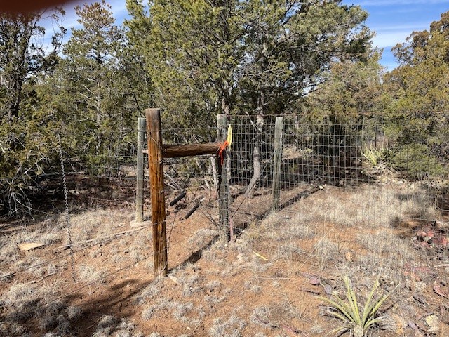 64 Saddle Spur Trail