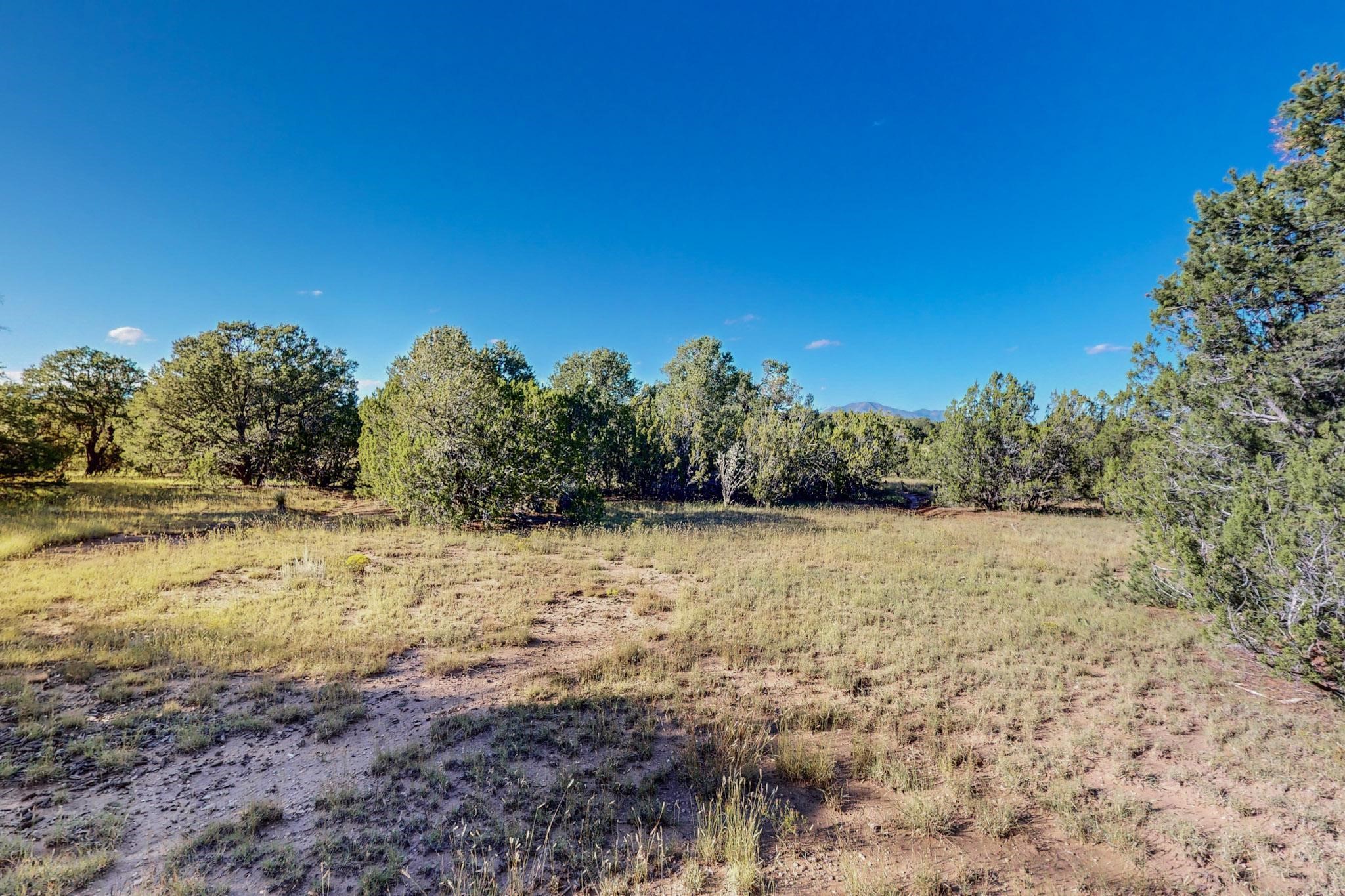 64 Saddle Spur Trail