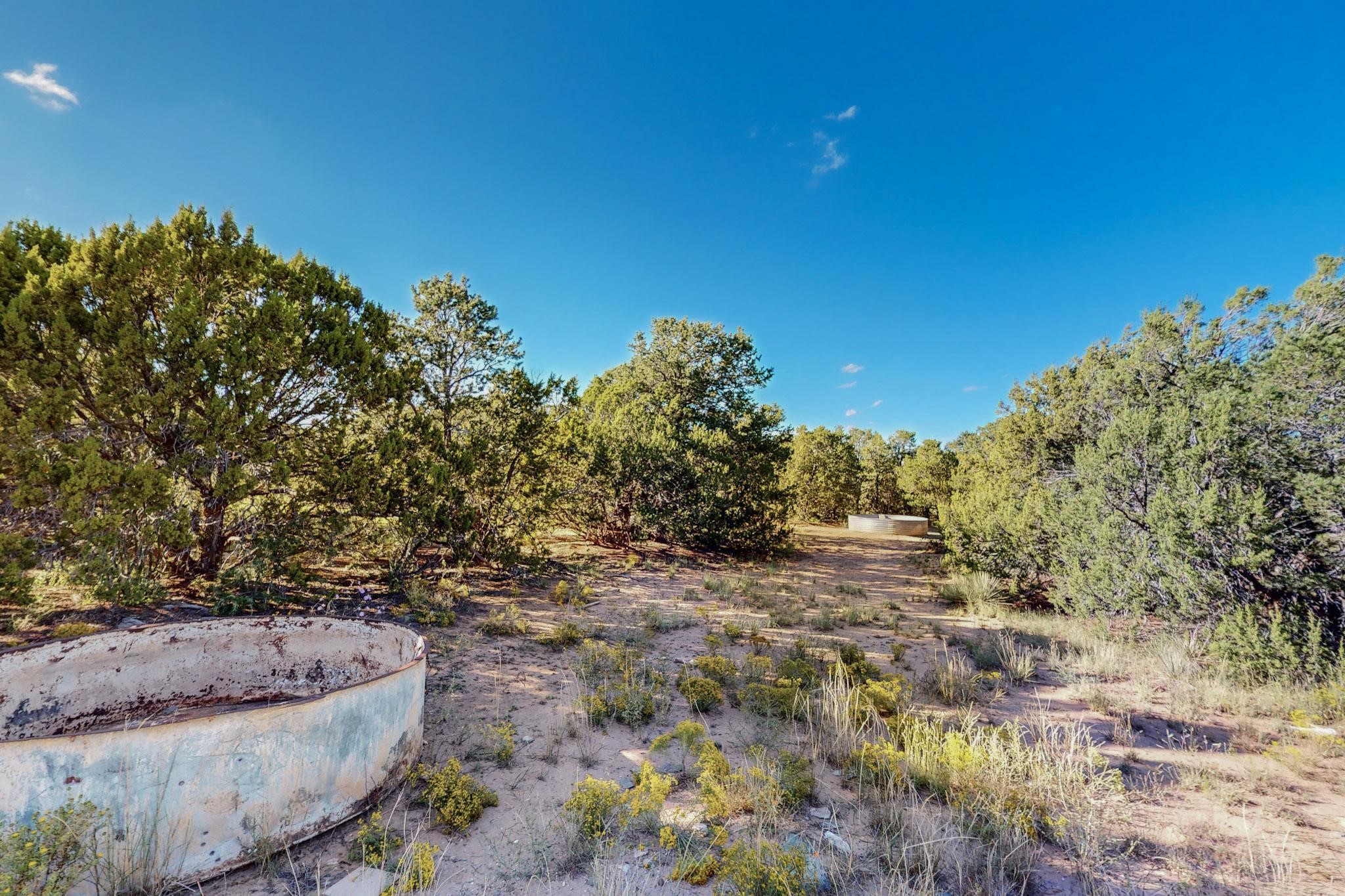 64 Saddle Spur Trail