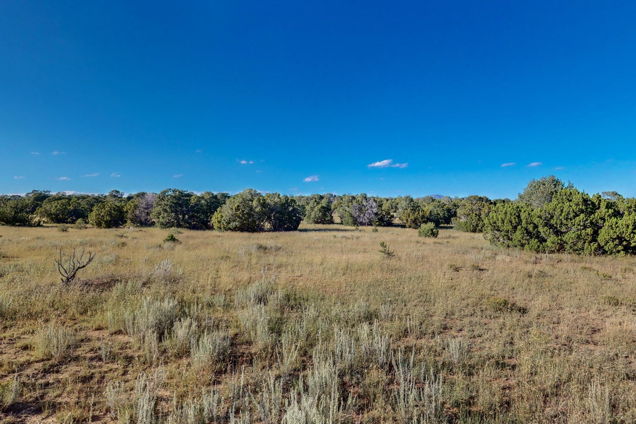 64 Saddle Spur Trail