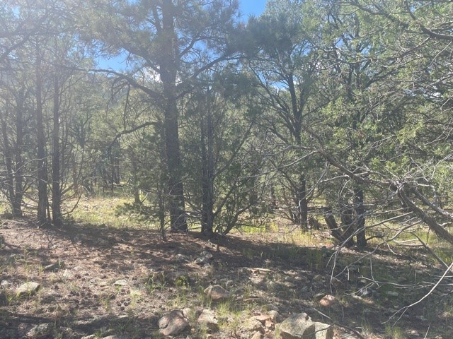 Lot 5B4 Wildflower Lane
