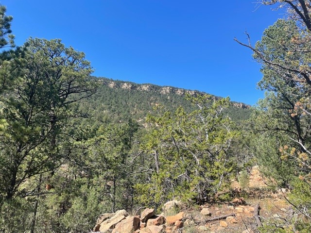 Lot 5B4 Wildflower Lane