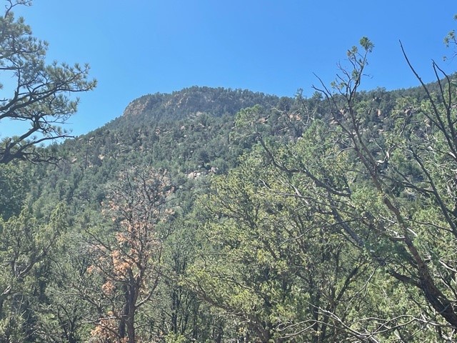 Lot 5B4 Wildflower Lane