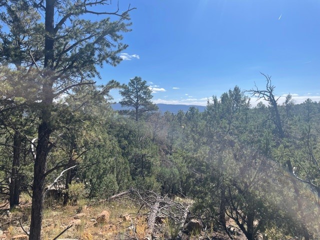 Lot 5B4 Wildflower Lane
